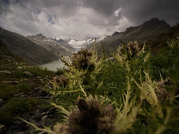 zona del Grimsel zona del Grimsel