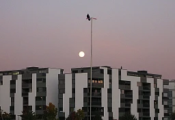Vollmond über Neubausiedlung in Zürich-Nord (10.11.2011). Vollmond über Neubausiedlung in Zürich-Nord (10.11.2011).