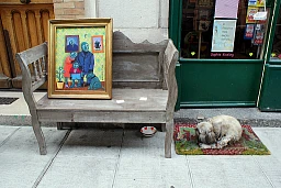 Mostra Libido alla Galleria delle Rovine di Ginevra