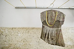 Une robe avec des pinces à linge est suspendue sur une corde à linge après la tempête du dimanche après-midi, le lundi 11 juillet 2011, à Herisau. (KEYSTONE/Ennio Leanza) Une robe avec des pinces à linge est suspendue sur une corde à linge après la tempête du dimanche après-midi, le lundi 11 juillet 2011, à Herisau. (KEYSTONE/Ennio Leanza)