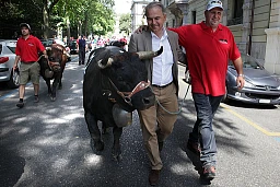 Die Königinnen...jpg - IMG_9311 Die Königinnen...jpg - IMG_9311