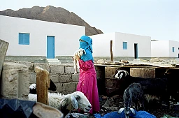 Sa´ida in der Oase Bir Zghayr