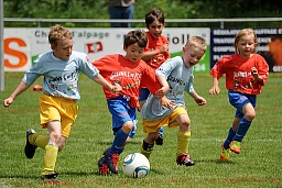 Samen des Fußballs2 Samen des Fußballs2