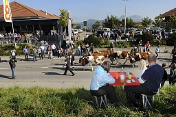 Descente alpine Descente alpine