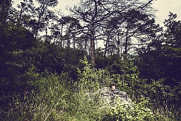 Pierre-Isaïe Duc – Ritratto1