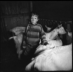 BAUERNBUB IM ZIEGENSTALL, APPENZELL BAUERNBUB IM ZIEGENSTALL, APPENZELL