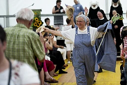 Picture from the report