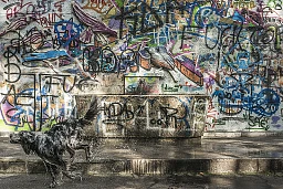 Brunnen im Bieler Wald KrÃ¤henberg. Hund gÃ¶nnt sich eine AbkÃ¼hlung