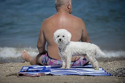 Caslano: heatwave. In the photo, a swimmer and his dog seek refreshment in the cool waters of Lake Ceresio during the heatwave that marked the summer of 2015.