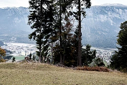 L&#39;albero separa l&#39;enorme sito della fabbrica Ems-Chemie sulla sinistra, mentre sulla destra si trova il villaggio apparentemente idilliaco di Domat/Ems.