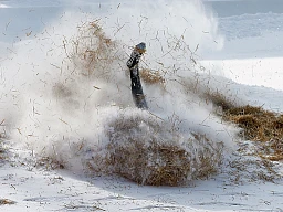 An unidentified rider falls into straw as he fails to pass Shuttlcock Corner during a practice at the natural ice run of the Cresta Run in the Swiss mountain resort of St. Moritz February 6, 2015. The private St. Moritz Tobogganing Club (SMTC), with its world-wide membership, was founded in St Moritz 1887. The natural ice run starts in St. Moritz and winds its way down a valley to what was the village of Cresta, but which now forms part of the village Celerina. It is approximately 3/4 mile (1,212m) in length with a drop of 514 feet (157m) and has to be built new every year from snow and water. REUTERS/Arnd Wiegmann (SWITZERLAND) An unidentified rider falls into straw as he fails to pass Shuttlcock Corner during a practice at the natural ice run of the Cresta Run in the Swiss mountain resort of St. Moritz February 6, 2015. The private St. Moritz Tobogganing Club (SMTC), with its world-wide membership, was founded in St Moritz 1887. The natural ice run starts in St. Moritz and winds its way down a valley to what was the village of Cresta, but which now forms part of the village Celerina. It is approximately 3/4 mile (1,212m) in length with a drop of 514 feet (157m) and has to be built new every year from snow and water. REUTERS/Arnd Wiegmann (SWITZERLAND)