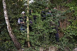 Una famiglia di cinque persone di rifugiati iracheni provenienti da Baghdad.