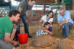 Marissa, malata di cancro, realizza il suo sogno di toccare le tartarughe