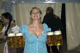 Hops and malt in its most beautiful form_03