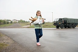 Gabriella e il suo cane sterilizzato. Le autorità stanno imponendo nuove normative per combattere il problema dei cani randagi. Gabriella e il suo cane sterilizzato. Le autorità stanno imponendo nuove normative per combattere il problema dei cani randagi.