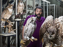 Comedian Ramzy Bedia presents his film: Owl