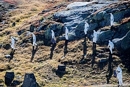 San Gottardo: incidente elicottero militare. Nella foto, esperti dell'aviazione militare al lavoro sui resti del Super Puma.
© Keystone / Ti-Press / Samuel Golay San Gottardo: incidente elicottero militare. Nella foto, esperti dell'aviazione militare al lavoro sui resti del Super Puma.
© Keystone / Ti-Press / Samuel Golay