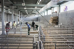 Registrazione dell'asilo, sistemazione dei richiedenti asilo, rifugiati, richiedenti asilo, possiamo farlo