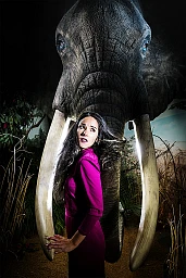 African elephant and Miss Switzerland 2016 Lauriane Sallin