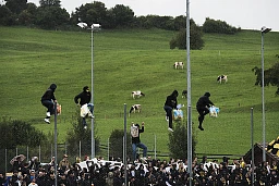 Supporters du BSC Young Boys, vaches, campagne, Coupe suisse Helvetia, 2e tour principal, 1/16 de finale, FC Bazenheid (Wil) - BSC Young Boys Bern, Bazenheid, Wil. Supporters du BSC Young Boys, vaches, campagne, Coupe suisse Helvetia, 2e tour principal, 1/16 de finale, FC Bazenheid (Wil) - BSC Young Boys Bern, Bazenheid, Wil.