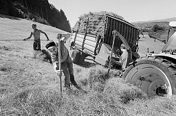 Bauern nehmen am Sonntag (18.06.17) in Feusisberg trockenes Gras zusammen.