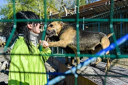 Refuge SOS Animals à Kiev, vendredi 21 avril 2017 Refuge SOS Animals à Kiev, vendredi 21 avril 2017