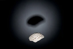 Herbstserie Hirn: Was das Hirn weiss und was es nicht weiss. (Autor: Eric Kandel)
Gehrin, Forschung, Denken, Neuroscience, Brain, IQ, Bewusstsein Herbstserie Hirn: Was das Hirn weiss und was es nicht weiss. (Autor: Eric Kandel)
Gehrin, Forschung, Denken, Neuroscience, Brain, IQ, Bewusstsein