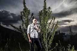 Portrait de Benjamin Foro, ceo de Nosotras SA une entreprise Valaisanne qui produit du CBD