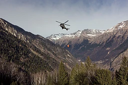 Puma militare sopra la zona incendiata