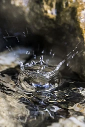 Wasser tropft im Quellgebiet Schwandfälspitz der Mineralquellen Adelboden