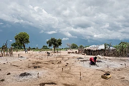 Fünfzig mal fünfzig Meter für jede neu angekommene Familie aus dem Südsudan: Eine Frau trocknet im Flüchtlingslager bei Bidi Bidi in Uganda Rinderdung für die Kochöfen. Uganda, Oktober 2017 Fünfzig mal fünfzig Meter für jede neu angekommene Familie aus dem Südsudan: Eine Frau trocknet im Flüchtlingslager bei Bidi Bidi in Uganda Rinderdung für die Kochöfen. Uganda, Oktober 2017