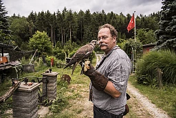 Der Falkner Christoph Küpfer trainiert mit dem Sakerfalken (Karl) am Donnerstag (28.6.2018) in seiner Falknerei in Neuhausen am Rheinfall. Foto: Thomas Egli