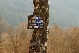 Dans un réseau de tourbières, la belle transfrontalière tapie sous les joncs et les roseaux s'en va rejoindre le lac de Joux.