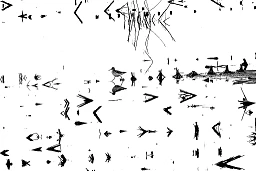 Yverdon, 26 avril 2019. Champs inondés, au centre: un Chevalier Sylain. © Michel Duperrex