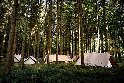 Grancy, samedi 14 septembre 2019, Bois de l'Isle ou de Grancy, forêt, 500 scouts vaudois se retrouve en forêt pour participer à un gigantesque jeu de rôle grandeur nature nommé Baranka sur le thème de la piraterie et de la flibuste, photos Cédric Sandoz, un sous camp, photos Cédric Sandoz Grancy, samedi 14 septembre 2019, Bois de l'Isle ou de Grancy, forêt, 500 scouts vaudois se retrouve en forêt pour participer à un gigantesque jeu de rôle grandeur nature nommé Baranka sur le thème de la piraterie et de la flibuste, photos Cédric Sandoz, un sous camp, photos Cédric Sandoz