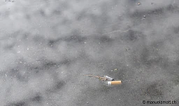 Das Ehepaar Urs und Gabriela Kinkel sammelt Zigarettenstummel (Kippen Contest) und bringt jeweils eine grosse Menge zusammen, die Ausbeute kurz vor und waehrend dem Fotoauftrag ist beachtlich: zwei grosse und zwei kleine PET-Flaschen, 18.12.19, Bild: Manuela Matt
manuelamatt.ch Das Ehepaar Urs und Gabriela Kinkel sammelt Zigarettenstummel (Kippen Contest) und bringt jeweils eine grosse Menge zusammen, die Ausbeute kurz vor und waehrend dem Fotoauftrag ist beachtlich: zwei grosse und zwei kleine PET-Flaschen, 18.12.19, Bild: Manuela Matt
manuelamatt.ch