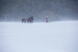 GRASSWIL, 30.1.2019. Eseltrainerin Edith Müller-Heiniger als Schmutzli mit 3 Eseln. Res als Samichlaus. Foto: Daniel Rihs / 13 Photo GRASSWIL, 30.1.2019. Eseltrainerin Edith Müller-Heiniger als Schmutzli mit 3 Eseln. Res als Samichlaus. Foto: Daniel Rihs / 13 Photo