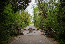 Genève, le 24 avril 2020. Parmi les mesures barrières pour limiter la propagation du Covid-19, la fermeture de la majorité des frontières entre la Suisse et la France. Contre un virus incoercible, les douanes se matérialisent à nouveau dans le canton de Genève. Ici, route de Thérens, juste après la douane de Certoux, une barrière et des branches d'arbre bloquent le passage vers la France. ©Pierre Albouy/Tribune de Genève Genève, le 24 avril 2020. Parmi les mesures barrières pour limiter la propagation du Covid-19, la fermeture de la majorité des frontières entre la Suisse et la France. Contre un virus incoercible, les douanes se matérialisent à nouveau dans le canton de Genève. Ici, route de Thérens, juste après la douane de Certoux, une barrière et des branches d'arbre bloquent le passage vers la France. ©Pierre Albouy/Tribune de Genève