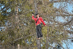 Crans-Montana, 21.02.2020, Ski FIS World Cup, Women's Downhill, Austrian trainer in a tree (Frederic Dubuis)