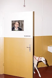 Portrait von Kaspar Zimmermann, fotografiert in der Tonhalle Maag.