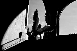 Fotoshooting mit «Engel» beim Amtshaus Urania; Zürich, am Nachmittag des 9. Februar 2020