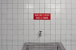 Image dans l'abattoir désaffecté de Malley en 2003. Image dans l'abattoir désaffecté de Malley en 2003.