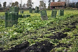 Getürmte G1 Kisten. Es wartet noch viel Arbeit. Getürmte G1 Kisten. Es wartet noch viel Arbeit.
