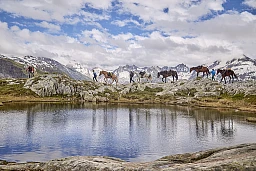 Stimmungvolles Bild in der Nähe vom Totesee auf dem Grimsel mit Sicht auf die Oberwalliser Berge. Stimmungvolles Bild in der Nähe vom Totesee auf dem Grimsel mit Sicht auf die Oberwalliser Berge.