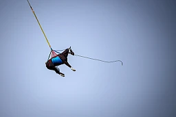 Un helicoptere Super Puma des forces aeriennes de l’armee suisse transporte un cheval lors d'un exercice le vendredi 9 avril 2021 a Saignelegier.