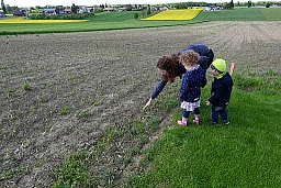 Ende Mai sind die ersten Keimlinge zu sehen. Ende Mai sind die ersten Keimlinge zu sehen.