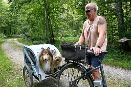 Text wird nicht angenommen