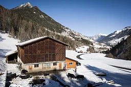13/01/2022 - Suisse / Som-La-Proz - Vue sur l'exploitation de Jean-Baptiste Pralong, éleveur de vaches d'Hérens à Orsières au moment où un petit groupe de vaches sort pour sa promenade quotidienne. Matthieu Zellweger / HAYTHAM PICTURES 13/01/2022 - Suisse / Som-La-Proz - Vue sur l'exploitation de Jean-Baptiste Pralong, éleveur de vaches d'Hérens à Orsières au moment où un petit groupe de vaches sort pour sa promenade quotidienne. Matthieu Zellweger / HAYTHAM PICTURES