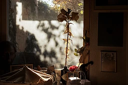 Im Haus des Schriftstellers Peter Bichsel in Bellach, 30.11.2022