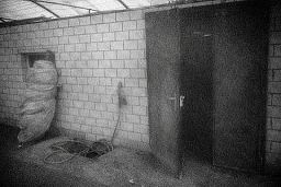 Gewächshaus, Berner Seeland, Oktober 2022 Gewächshaus, Berner Seeland, Oktober 2022